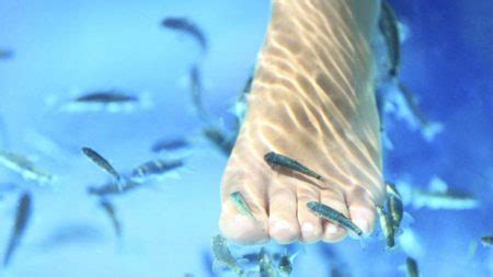 Fish Pedicure: Risks, Benefits, Safety, and Ethical Concerns.